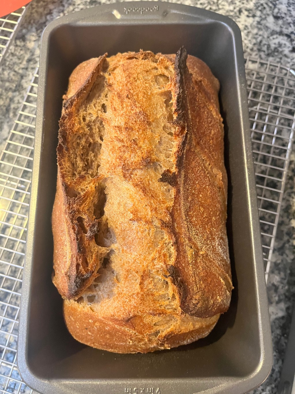 Whole Wheat Sourdough